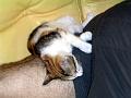 Caramel 08-04 009